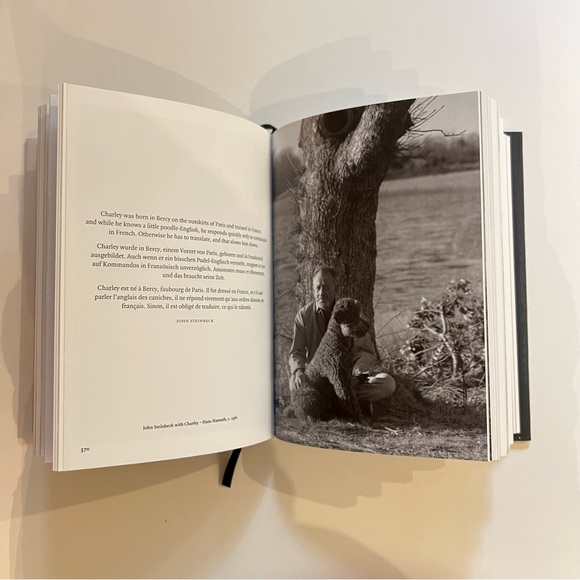 Taschen Dog book by Raymond Merrit - Picture 4 of 6